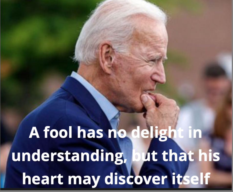 A fool has no delight in understanding, but that his heart may discover itself  