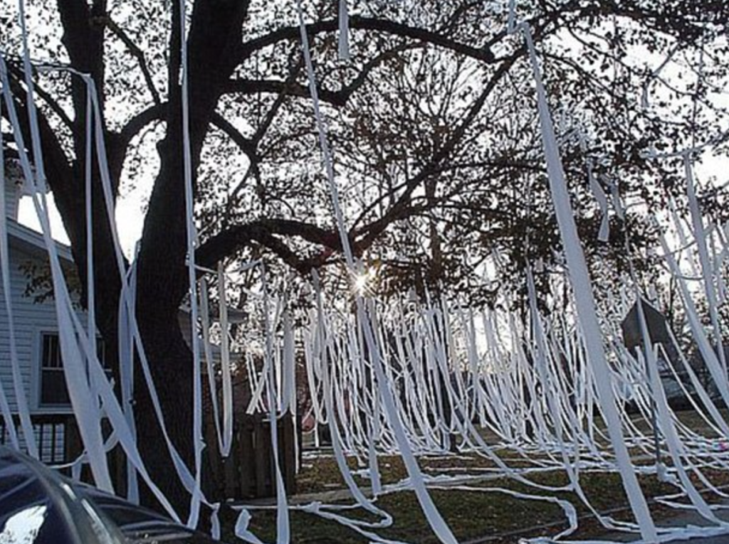 White ribbons on a tree