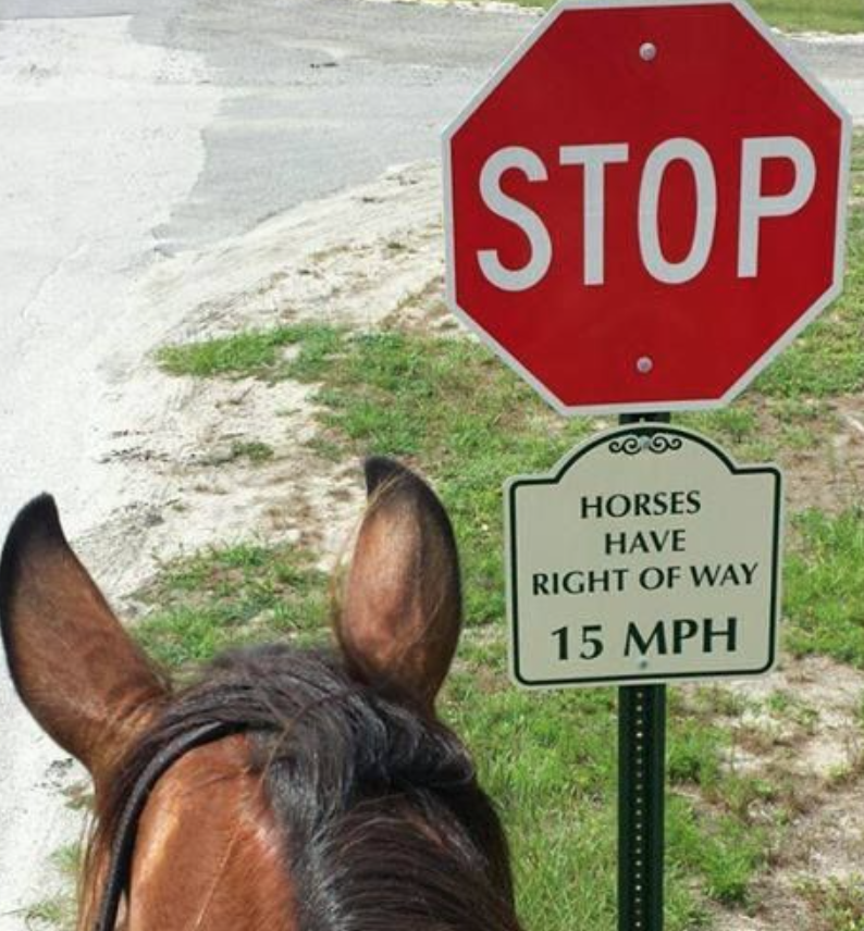Stop sign and a sign about horses