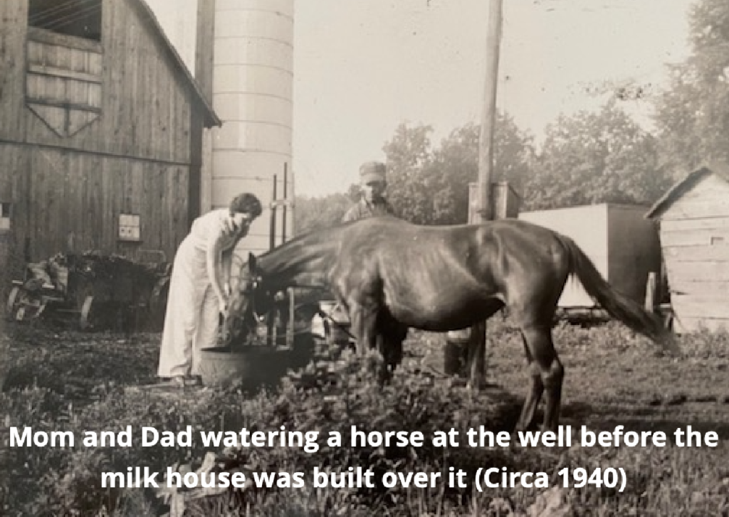 Mom and dad watering a horse at the well before the milk house was built over it circa 1940