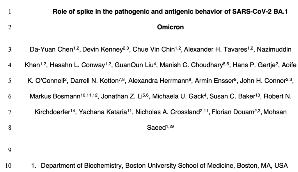 Role of Spike in the Pathogenic and Antigenic Behavior of SARS-CoV-2 BA.1