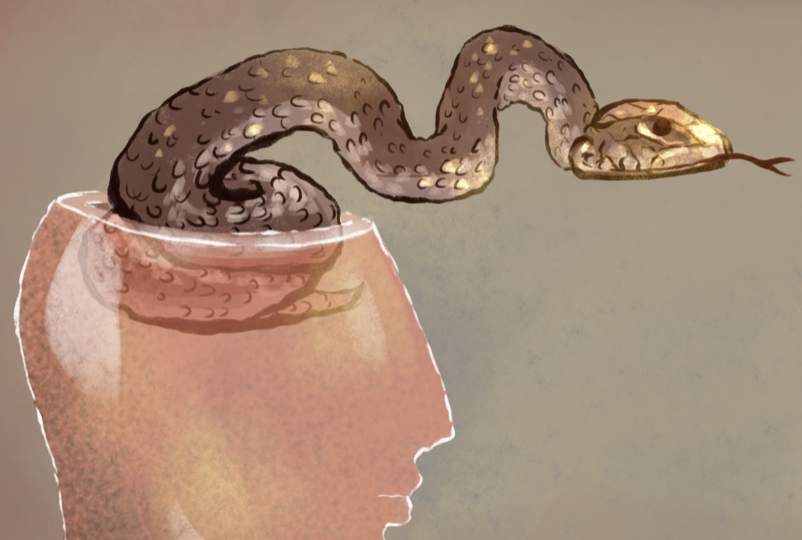 A snake coming out of a person’s head