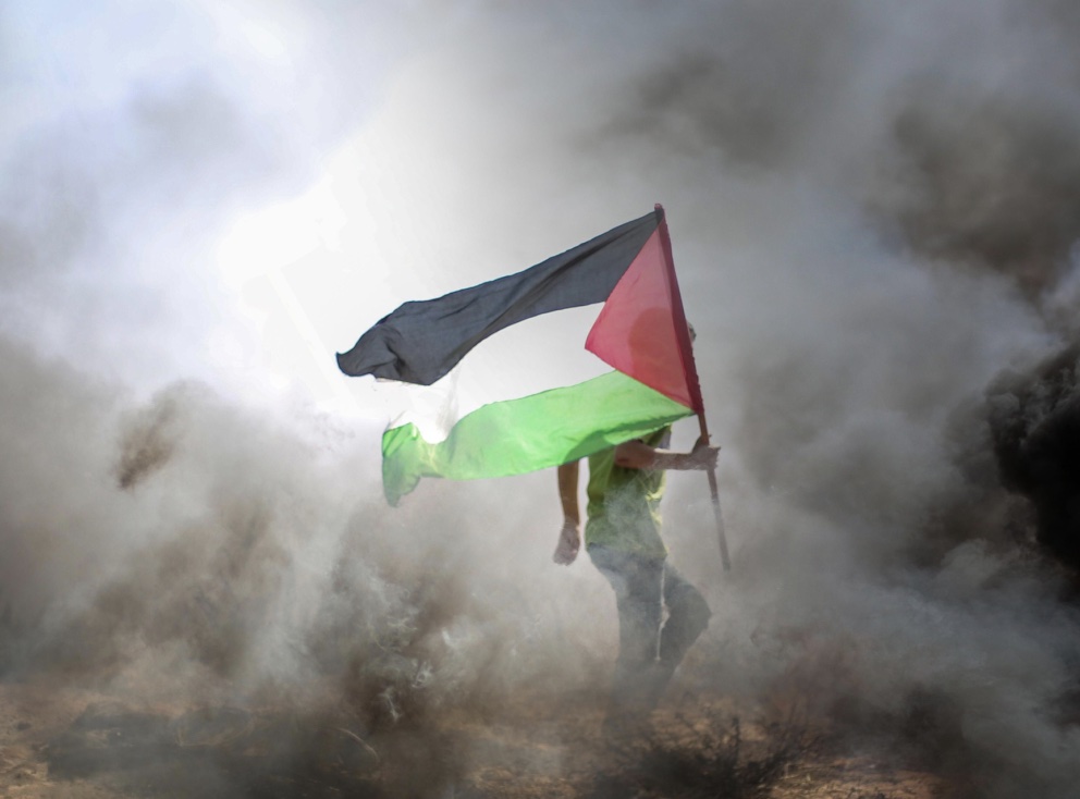 A man is holding a palestinian flag in the air.